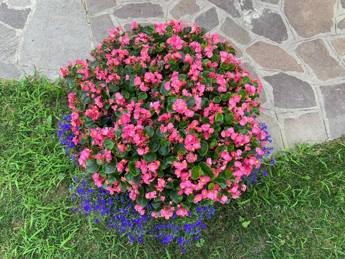 Guest House Margherita Albignasego Екстериор снимка